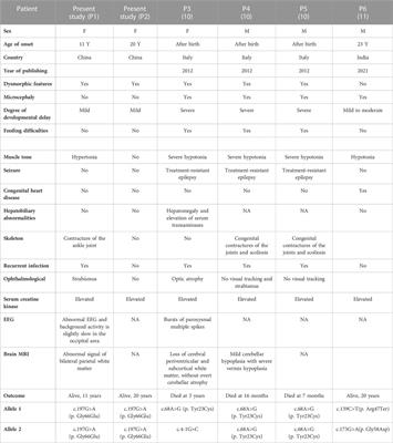 Identification and characterization of a new variation in DPM2 gene in two Chinese siblings with mild intellectual impairment